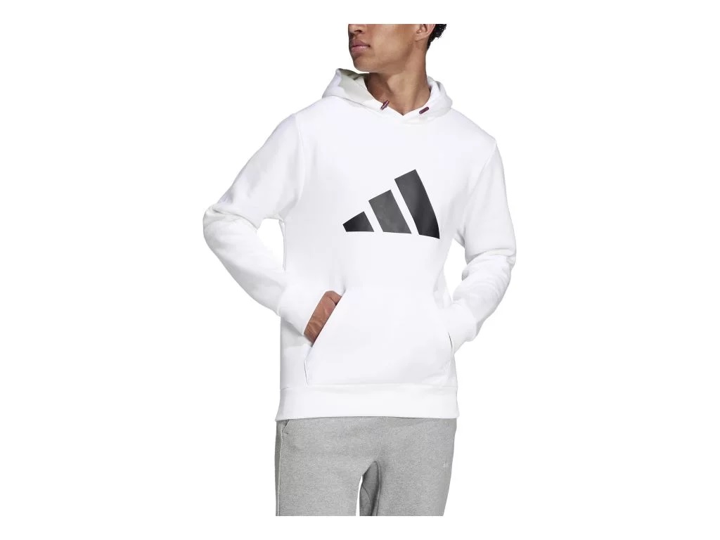 adidas M FI WTR HOODIE H20224